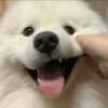 IYU