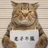 whxl宦先