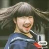 我看众生皆草木