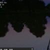 261617073