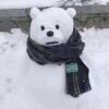 今天不养恐龙