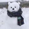 今天不养恐龙