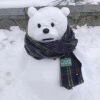 今天不养恐龙