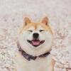 啊瓜