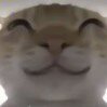 梦中梦