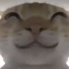 梦中梦