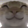 梦中梦
