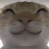 梦中梦