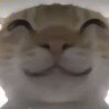 梦中梦