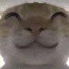 梦中梦