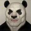 全力发展大脑褶皱