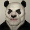 全力发展大脑褶皱