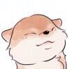 羰璟