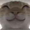 梦中梦