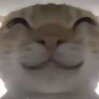 梦中梦