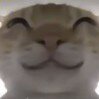 梦中梦