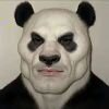 全力发展大脑褶皱