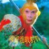 鲁西北歌手AZ