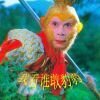 鲁西北歌手AZ