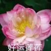 好运连连