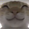 梦中梦
