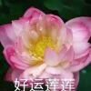 好运连连