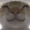 梦中梦