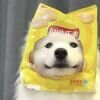 飞翔的苦力怕