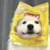 飞翔的苦力怕