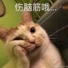 客陌