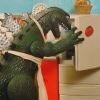 甲鸟