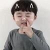 iceajex1