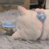 闫如王丶