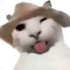 星痕