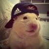 2959562599